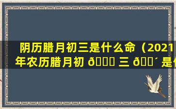 阴历腊月初三是什么命（2021年农历腊月初 🐘 三 🐴 是什么命）